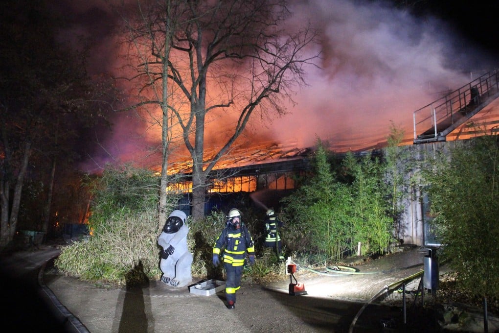 Firemen at the burning monkey house of the zoo in Krefeld. Photo: DPA