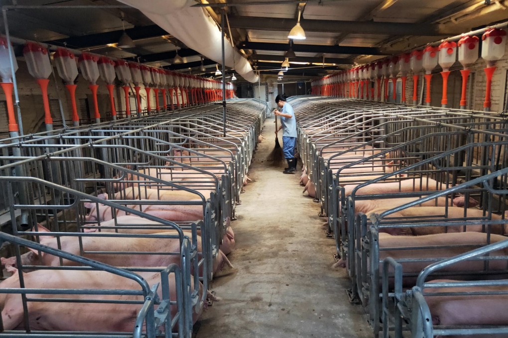 Pork prices rose by 97.0 per cent in December from a year earlier, sending consumer inflation soaring. Photo: Xinhua