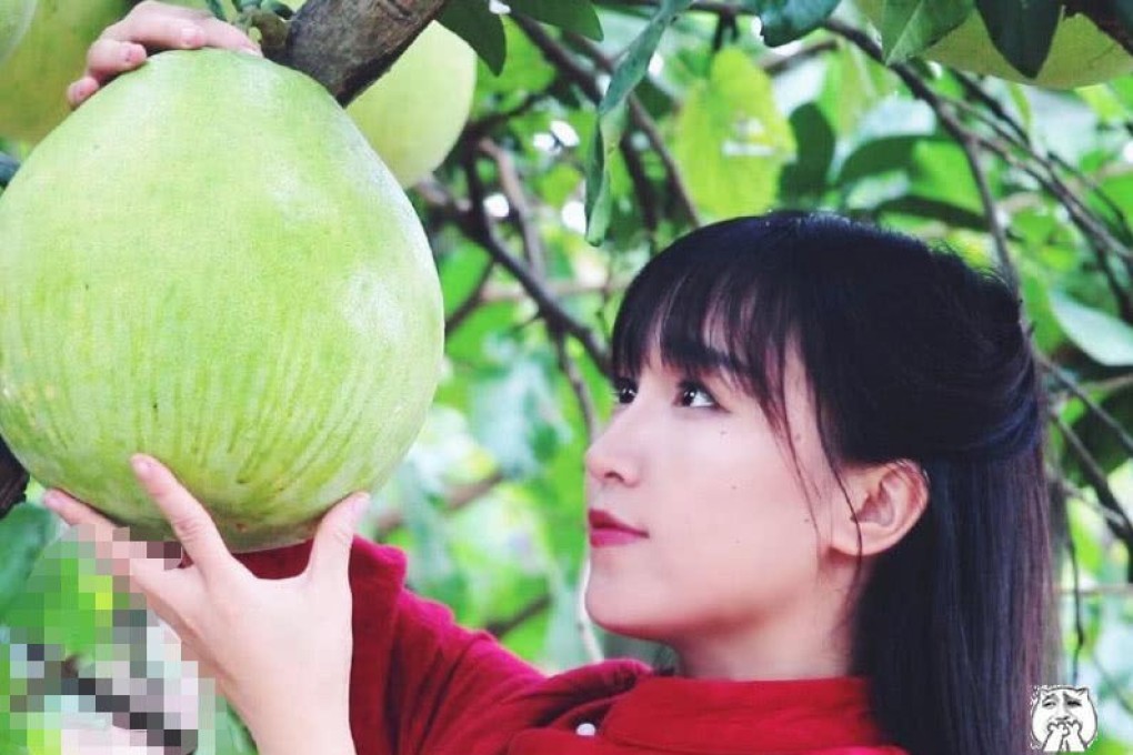 Li Ziqi’s videos of rural life have won her millions of fans worldwide. Photo: Handout