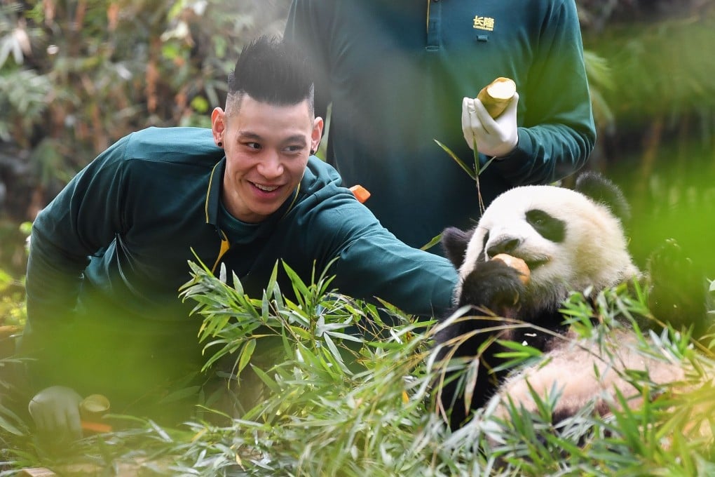 Team North's Jeremy Lin interacts with giant panda Longlong at Chimelong Safari Park in Guangzhou ahead of the of Chinese Basketball Association All-Star game. Photo: Xinhua