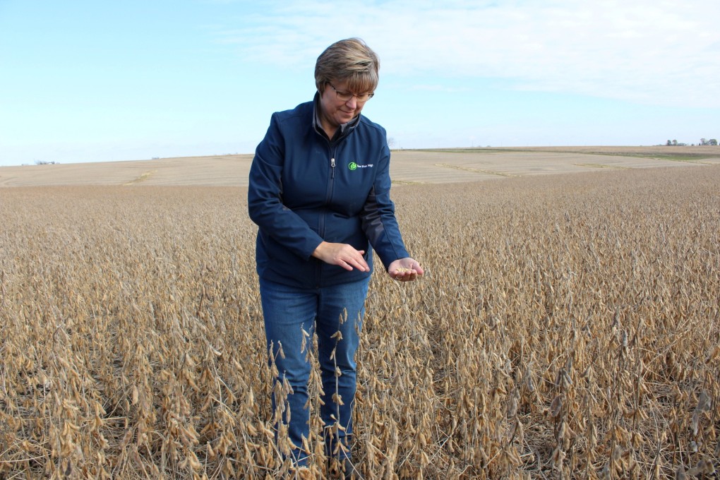 Soybean farmer Pat Swanson examines her soybean crops as farmers struggle with the effects of weather and ongoing tariffs resulting from the trade war between the United States and China. Photo: Reuters