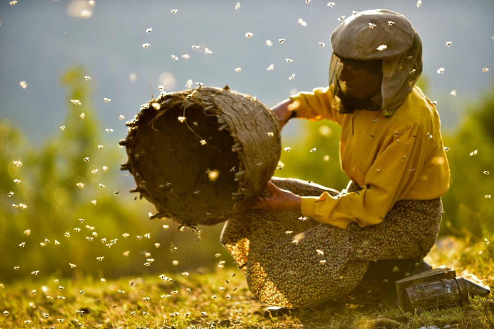 A still from Honeyland, the film nominated for best documentary feature and best international feature at the 2020 Academy Awards.