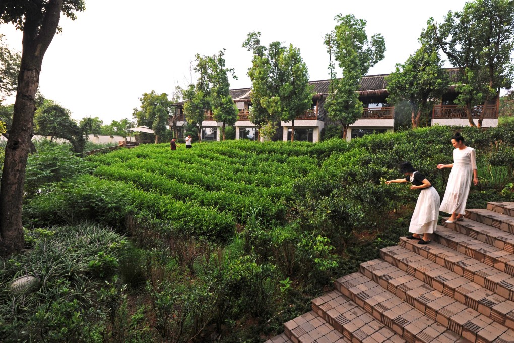 Tourists pick tea leaves on a plantation in Hengshanwu village in Anji, Zhejiang province. To attract visitors, China could meet the growing demand for “experience tourism”. Photo: Xinhua