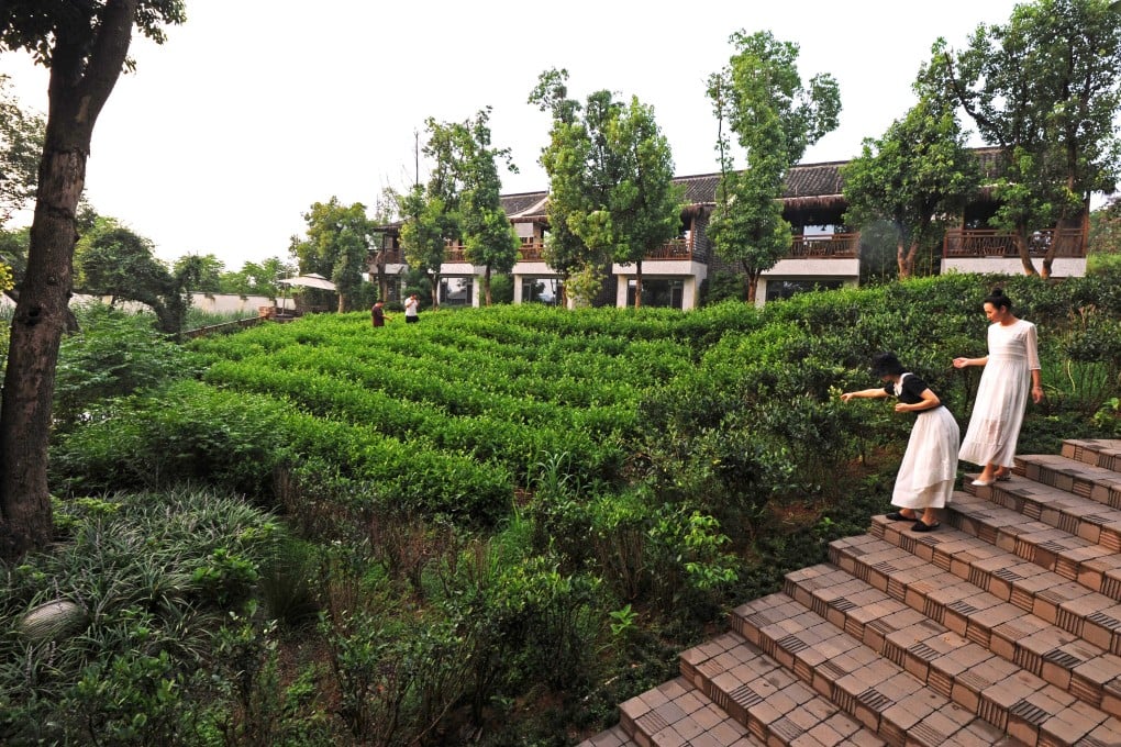 Tourists pick tea leaves on a plantation in Hengshanwu village in Anji, Zhejiang province. To attract visitors, China could meet the growing demand for “experience tourism”. Photo: Xinhua