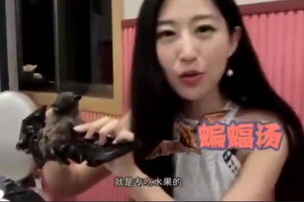 Wang Mengyun says she is sorry for an online travel show segment about bat soup filmed in 2016. Photo: Sohu