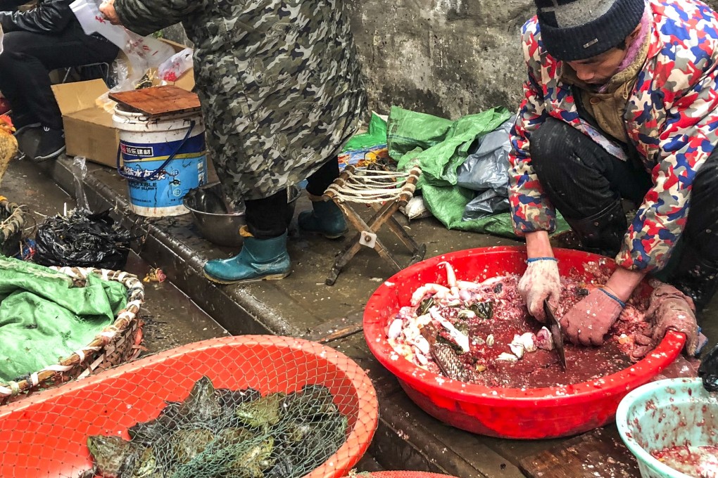 A man kills a fish in a wet market in Wuhan on January 05, 2020. China has imposed an immediate ban on the trade in wildlife. Photo: Simon Song