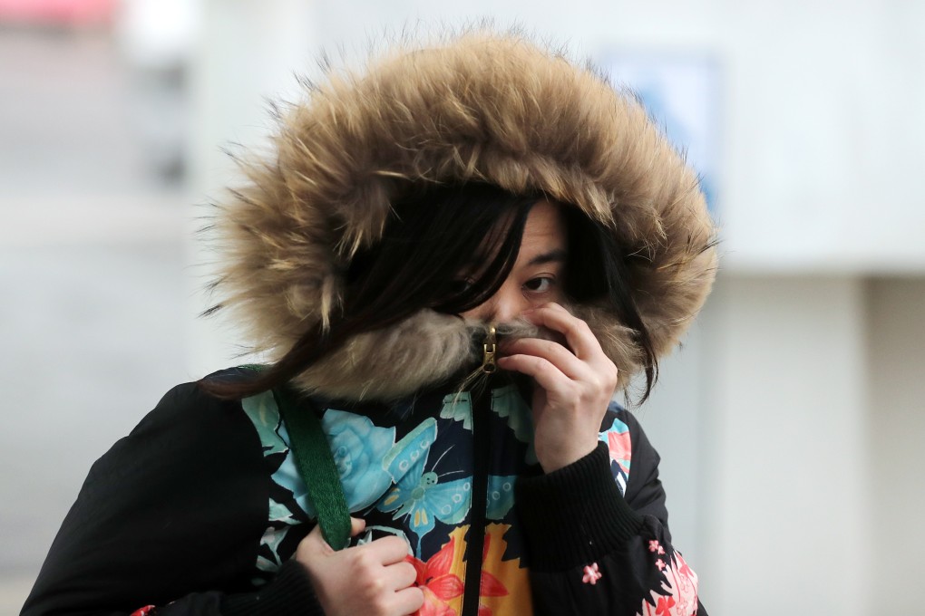 A Hongkonger wraps up against the cold while walking around Tsim Sha Tsui in December. Photo: Sam Tsang