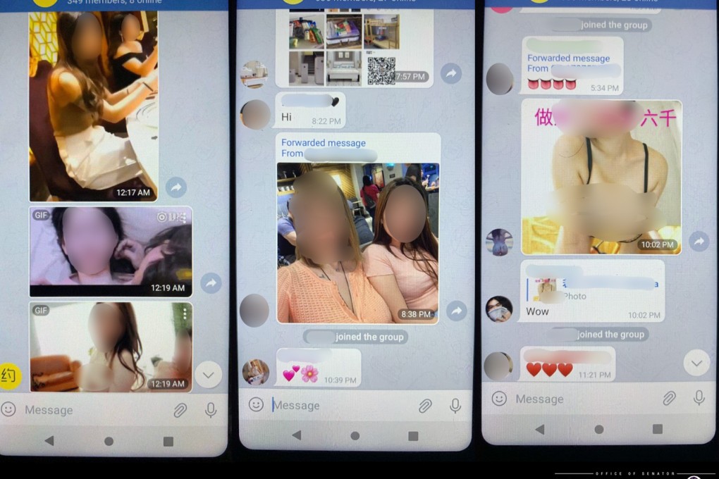 One of the slides presented by Senator Risa Hontiveros to the committee hearing. Photo: Handout