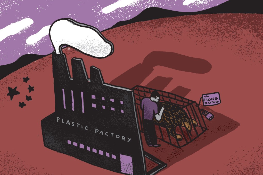 Some TCM practitioners claim pangolin scales can cure everything from inflammation to cancer. There is no scientific evidence to support these claims.