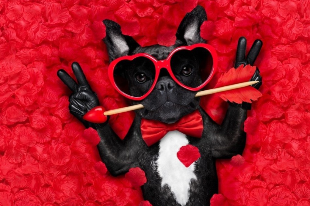 Whether you're loved-up or flying solo, February 14 can be a day to celebrate