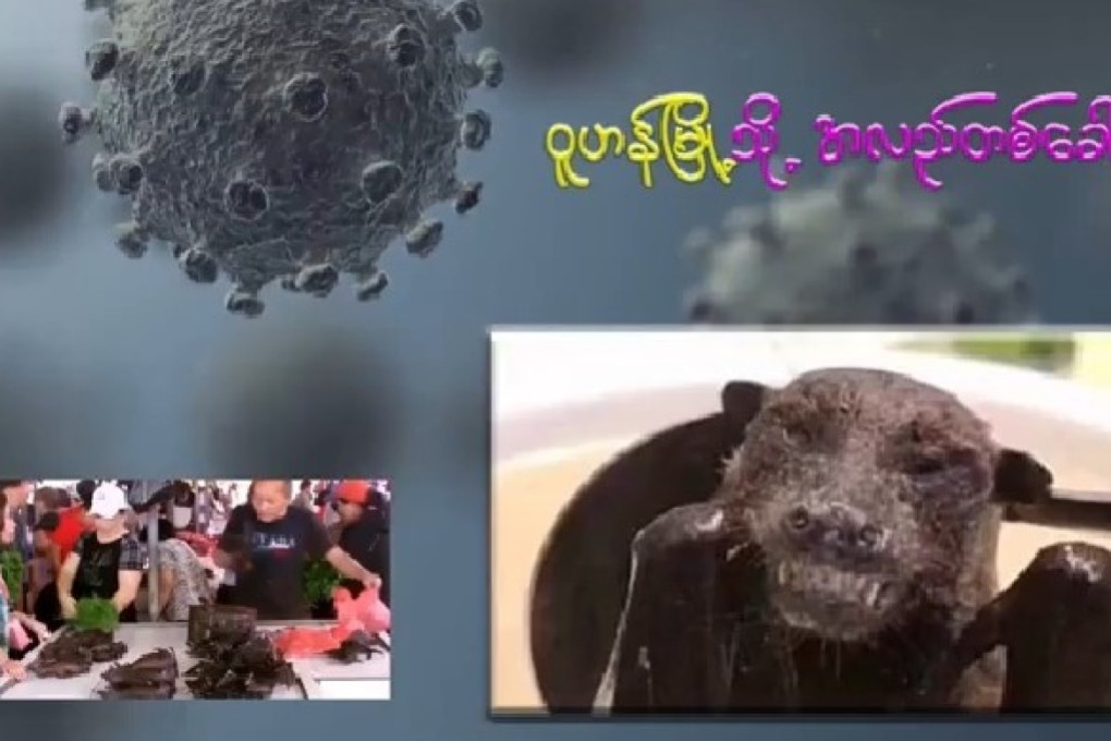 A still image from the video “A Visit to Wuhan”.