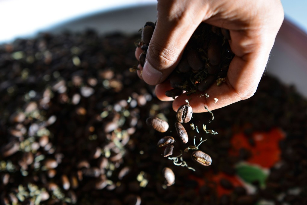Cannabis coffee remains a big seller in Indonesia despite the country’s strict drug laws. Roasters in Aceh province, where marijuana once grew everywhere, can sell their product for US$75 a kilo. Photo: AFP