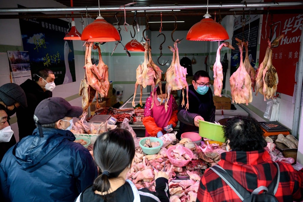 H5N1 bird flu has been reported in chickens in two Chinese provinces this month. Photo: AFP