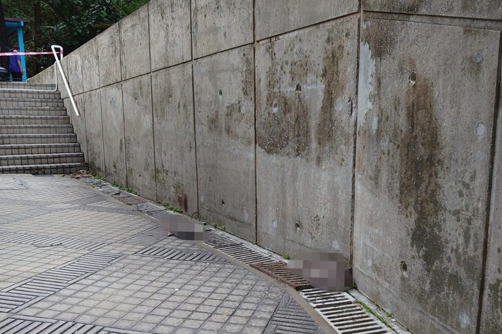 The animals were found either dead or severely injured next to the building. Photo: Handout