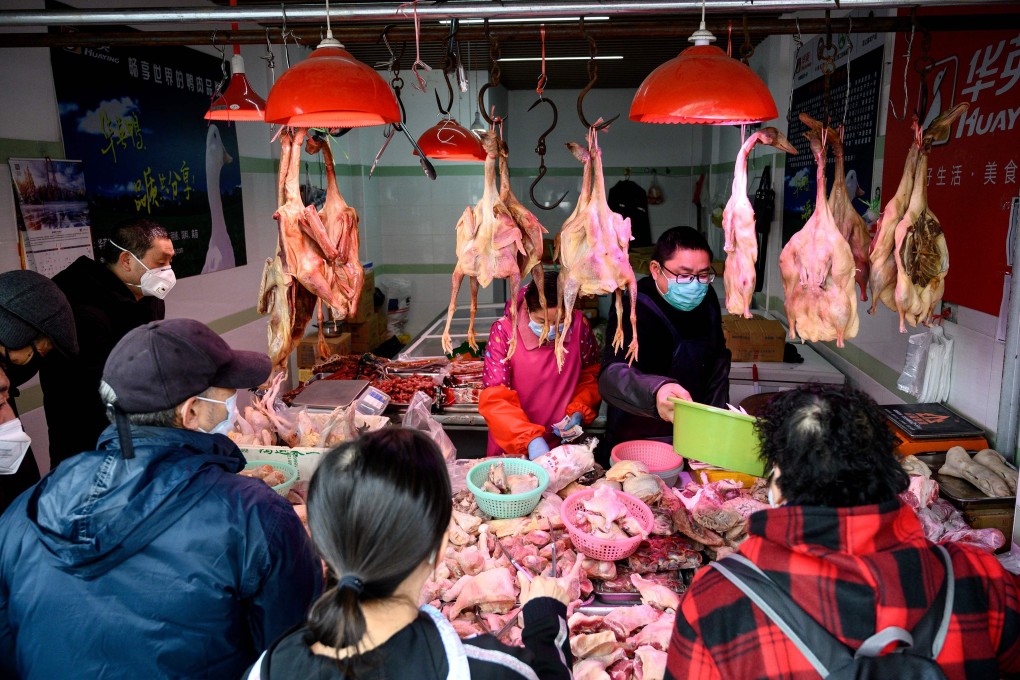 China is the world’s second-largest poultry producer and has been ramping up output to fill a huge meat shortage after an African swine fever epidemic decimated its pig herd. Photo: AFP