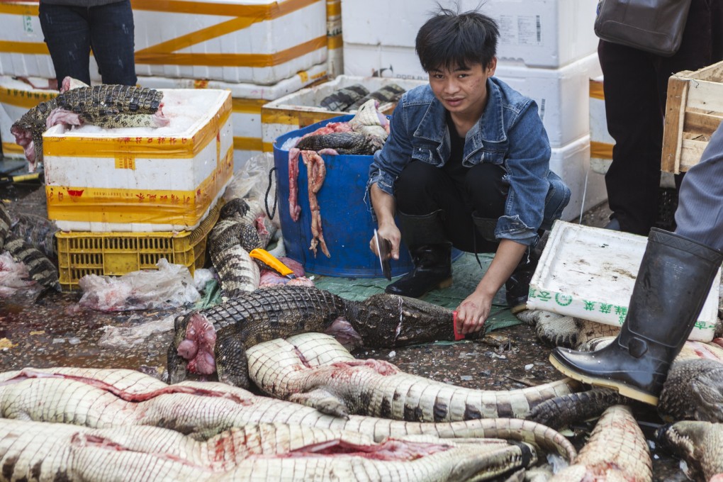 A man chops and cleans crocodiles at Huangsha Seafood Market in Guangzhou in southern China in 2018. Photo: EPA