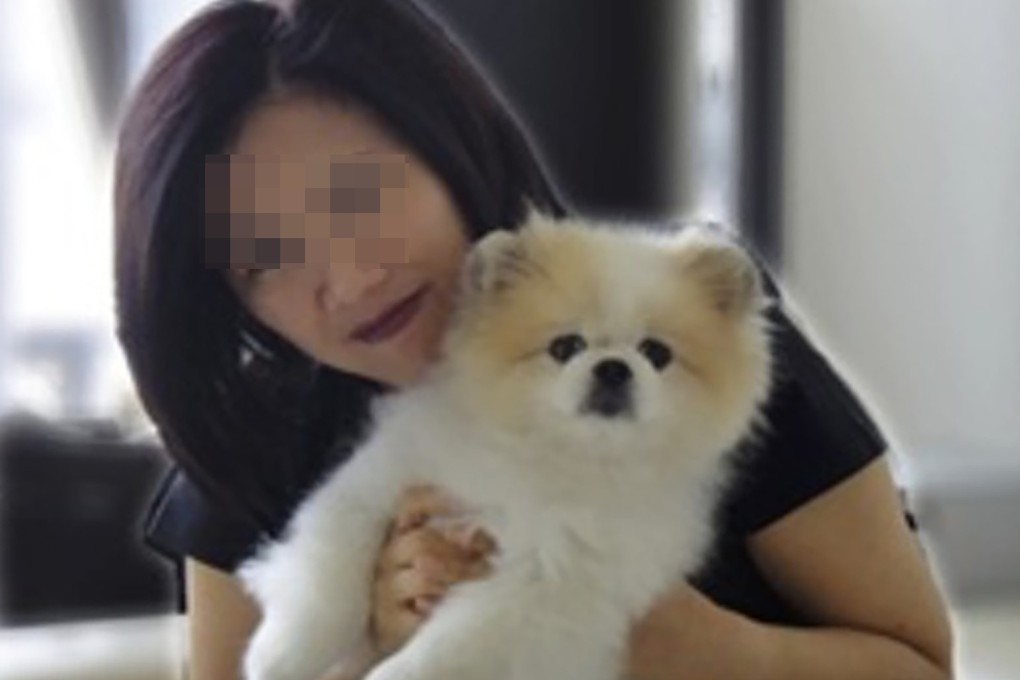 The Pomeranian which tested “weak positive” for the virus was believed to belong to a local Covid-19 patient. Photo: Facebook