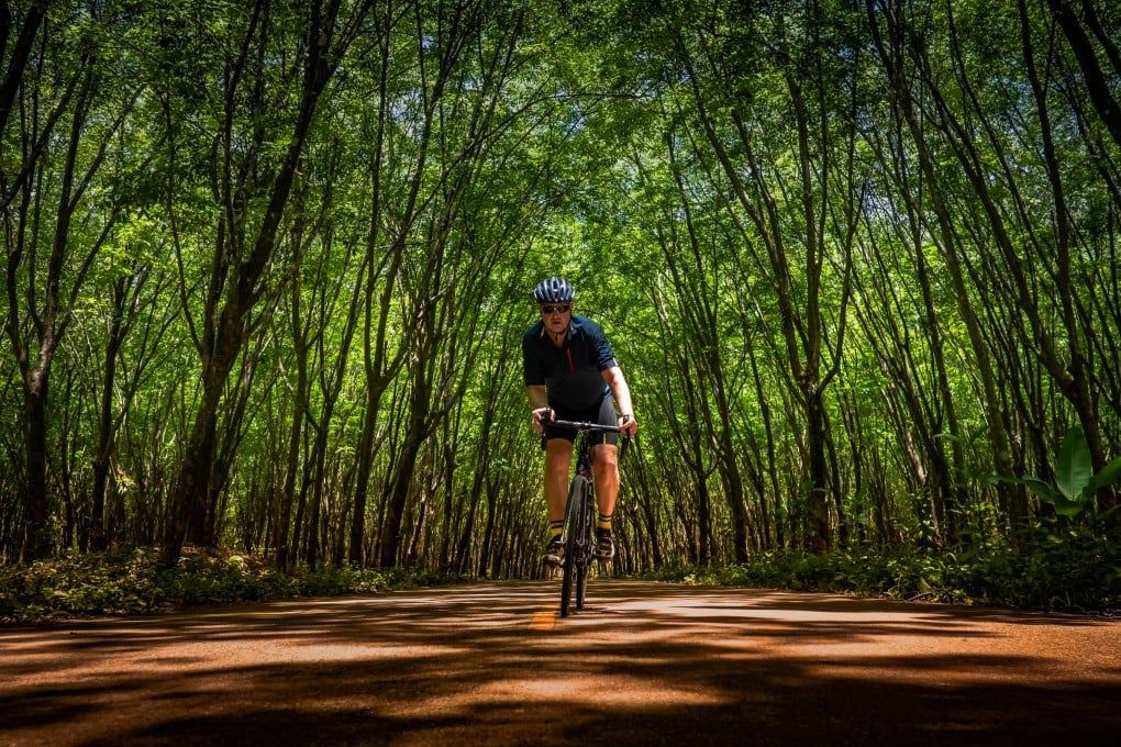 Cycling in Khanom, southeast Thailand, surrounded by rubber trees. Photo: Steve Thomas