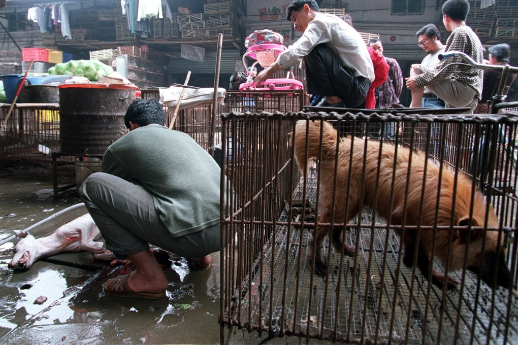 Animals at a market in Guangzhou, China. Photo: AP