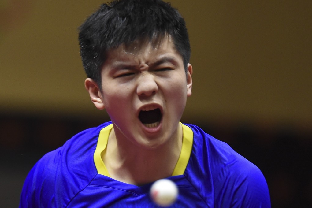 China’s Fan Zhendong celebrates a point against England’s Liam Pitchford in the Qatar Open men’s singles final. Photo: Xinhua