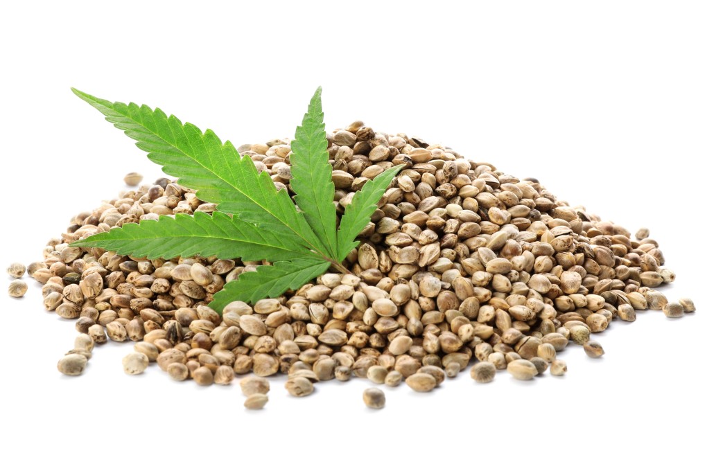 Hemp seed oil is said to be good for your skin and is one of five beauty ingredients expected to trend in 2020. Photo: Shutterstock