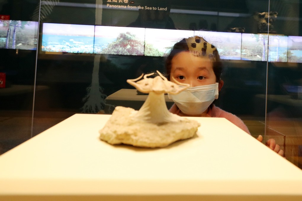 A little girl enjoys an exhibit at the newly reopened Shanghai Natural History Museum. Photo: Xinhua