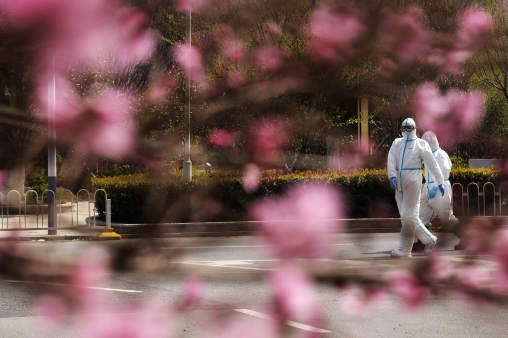 Medical workers walk past a blaze of colour from cherry trees at a hospital in Wuhan. Photo: Xinhua