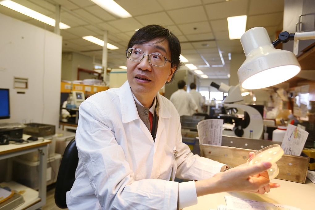 Professor Yuen Kwok-yung of the department of microbiology at the University of Hong Kong. Photo: Xiaomei Chen