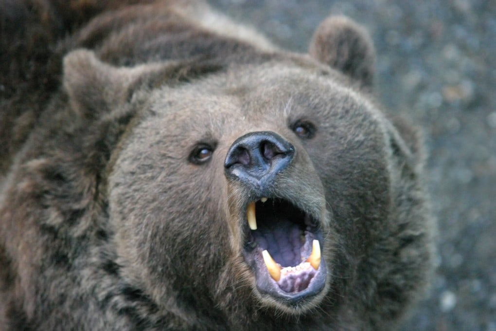 Every major global market is in bear territory except for China. Photo: Getty Images