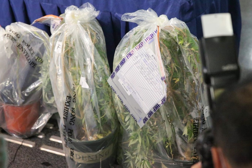 Police seized HK$14 million worth of cannabis plants and the drug during a raid on a village house on Lantau Island on Tuesday. Photo: Handout