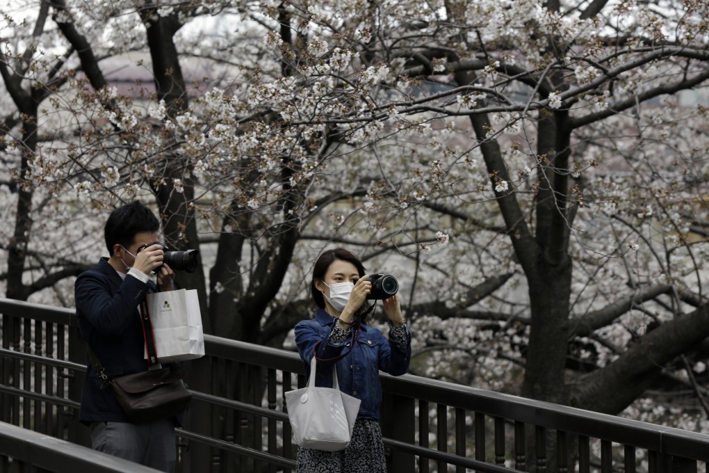 Masked people stop on a bridge to photograph cherry blossoms in Tokyo. Photo: AP