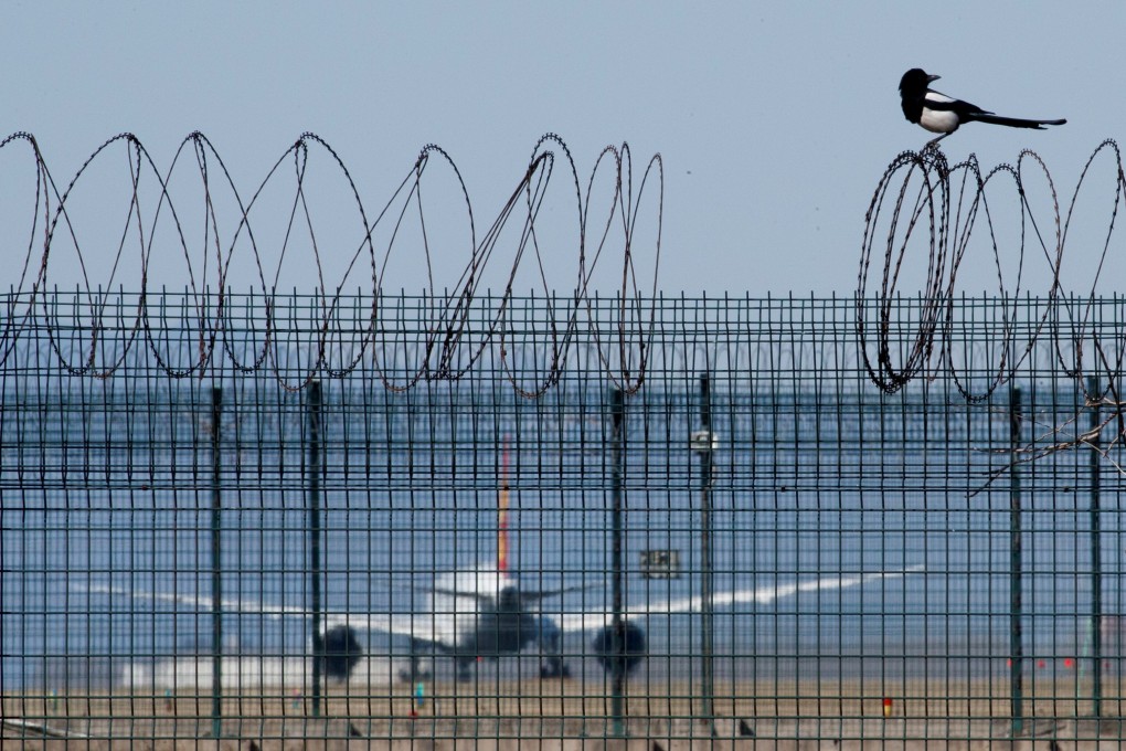 A bird sits on the barbed wire fence surrounding Beijing Capital International Airport China has now barred almost all holders of visas and residence permits from entering with few exceptions and waivers. Photo: Reuters