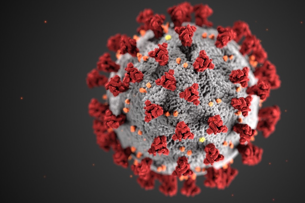 Some human antibodies target the spike protein on the surface of the coronavirus. Photo: EPA-EFE