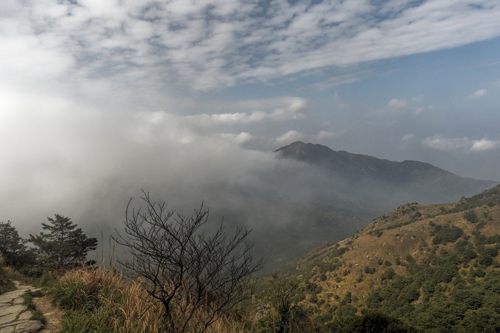 Get away from the coronavirus news and social distancing woes by taking a hike up Sunset Peak on Lantau. Photo: Martin Williams