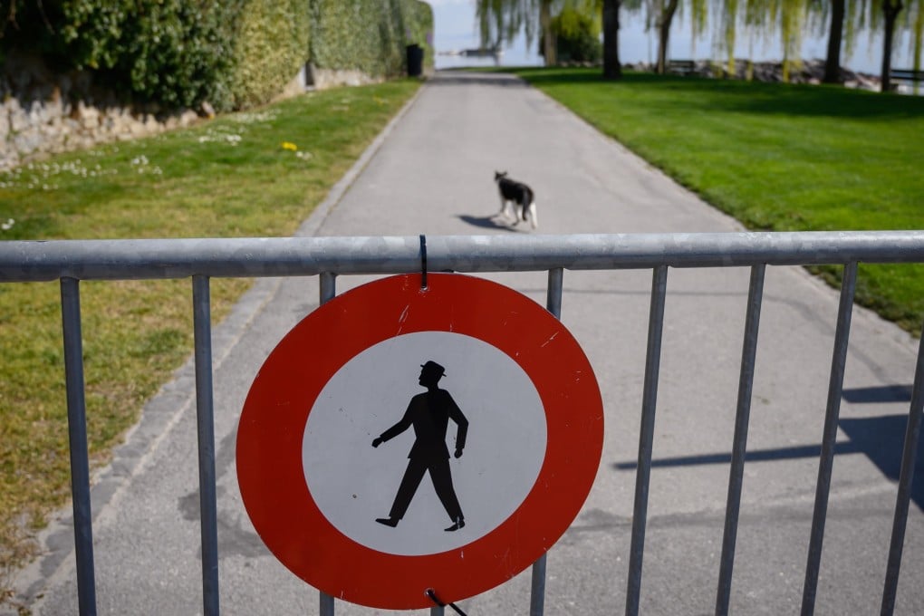 Scientists say cats are more at risk of contracting Covid-19 from humans than vice versa. Photo: AFP