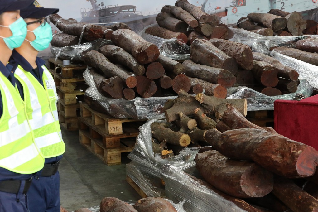 The 7.4 tonnes of red sandalwood were shipped from India. Photo: Felix Wong