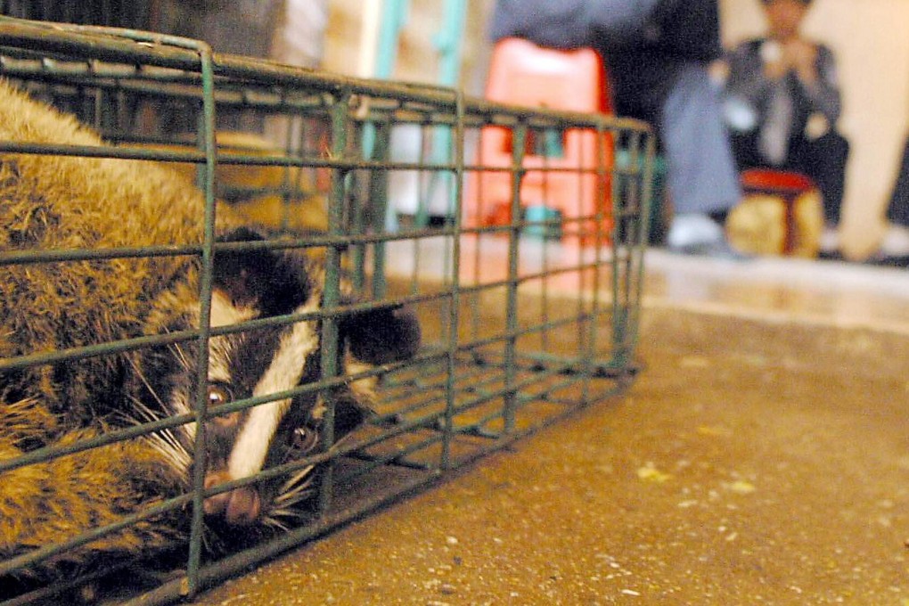 The spillover of viruses from animals to humans is a direct result of our actions involving wildlife and their habitat, according to the lead author of a new study. Photo: AFP