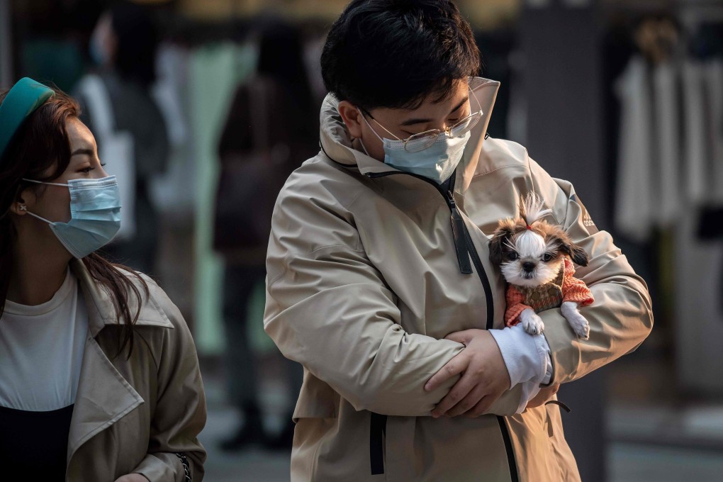 A man cradles his dog on a walk at a shopping centre in Beijing on April 9, 2020. Photo: Agence France-Presse)