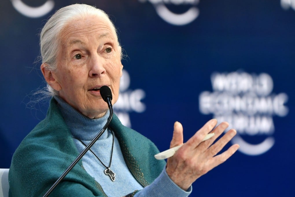Jane Goodall speaks at the World Economic Forum in Davos, Switzerland, in January 2020. Photo: AFP
