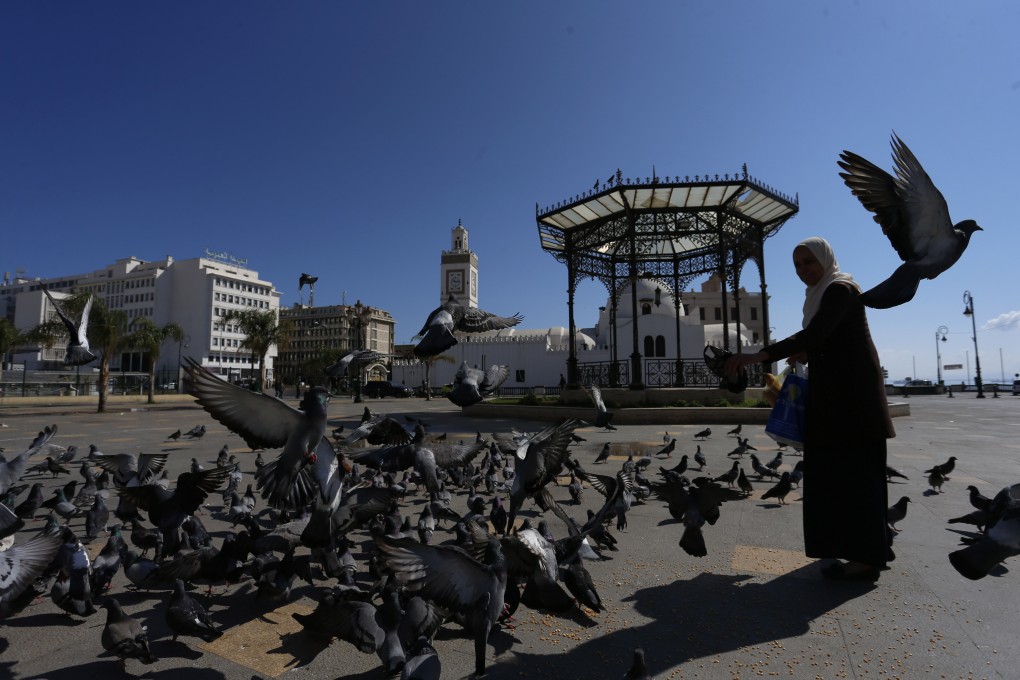 A woman feeds pigeons in an empty square usually bustling with pedestrians in Algiers. Photo: AP