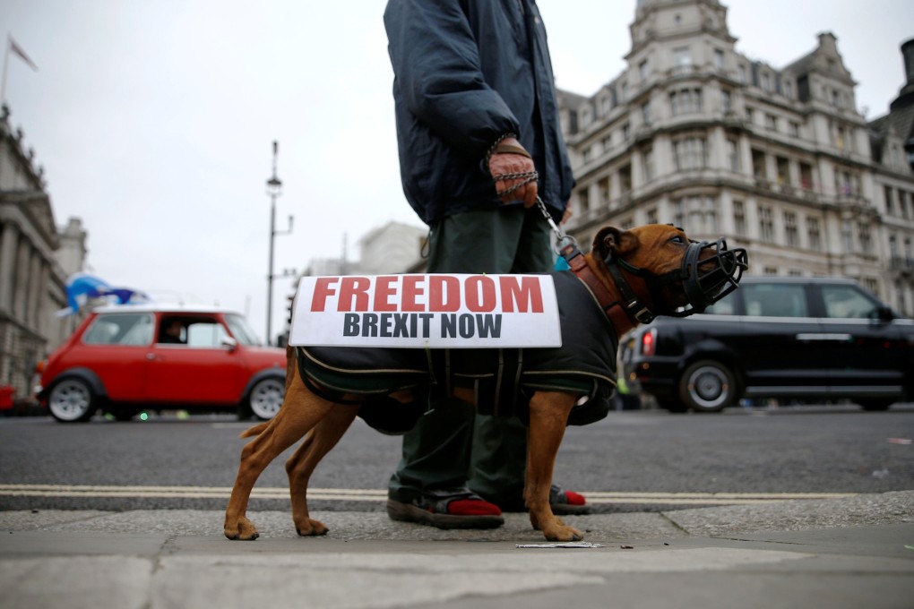 A man holds a dog wearing a pro-Brexit sign on January 31, the day the UK formally left the European Union. Photo: Reuters