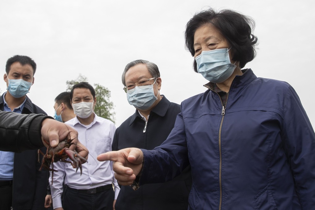 Chinese Vice-Premier Sun Chunlan inspects a breeding base in Huangshi, in central China's Hubei Province, on April 23. Sun was assigned to oversee the coronavirus emergency response in Wuhan in January. Photo: Xinhua