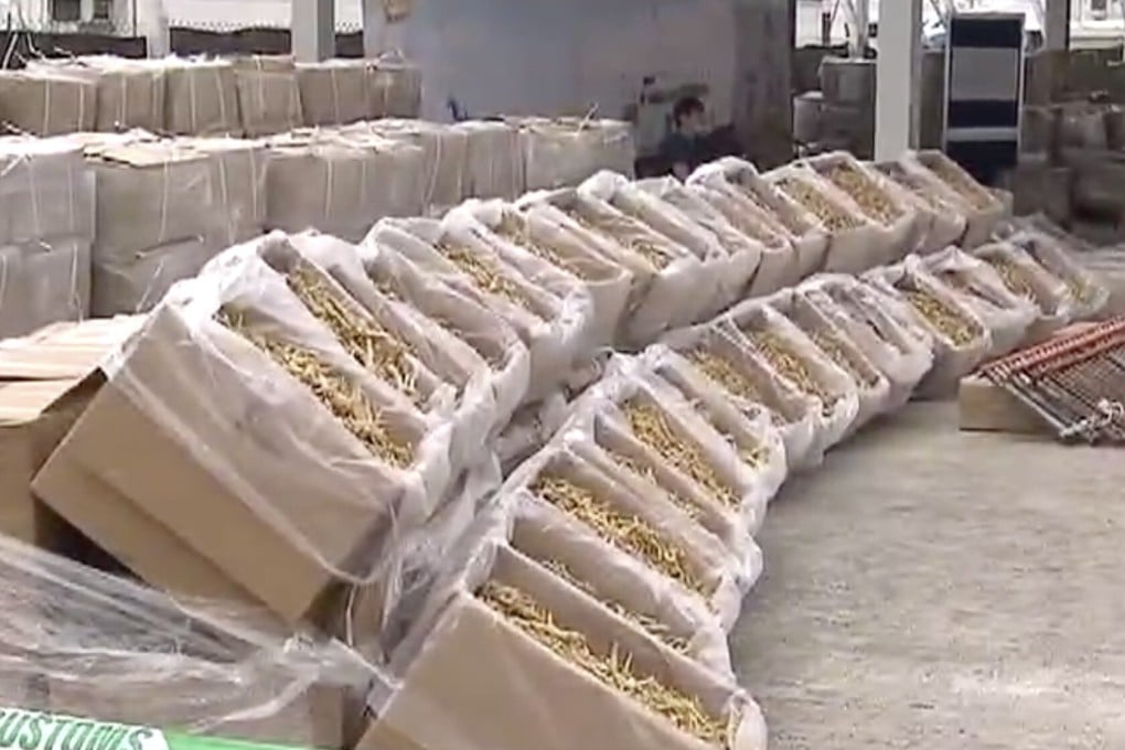 Thirty-four tonnes of American ginseng worth more than HK$47 million was seized and seven people arrested by Hong Kong authorities on Thursday. Photo: TVB News