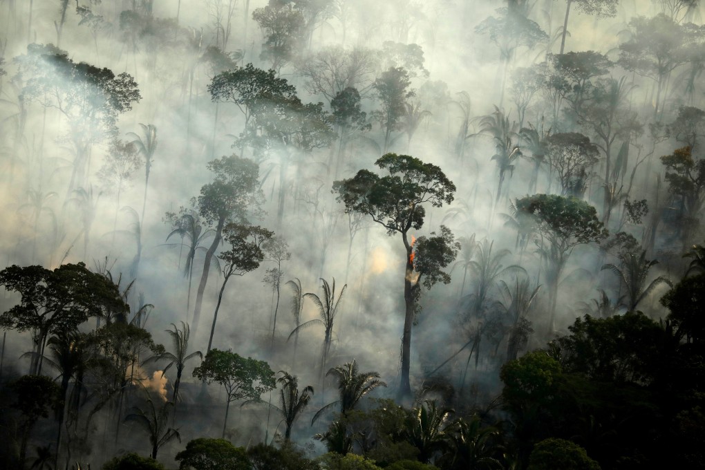 Smoke billows from a fire in an area of the Amazon rainforest near Porto Velho, Rondonia State, Brazil. Photo: Reuters