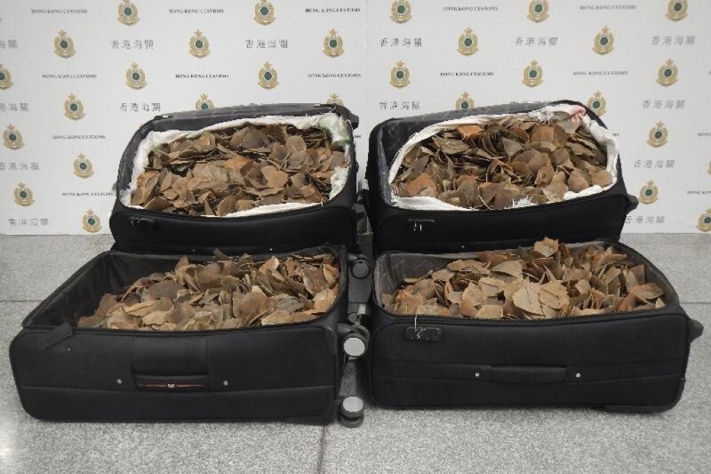 The 100kg of pangolin scales seized from the two mainland Chinese men. Photo: Handout
