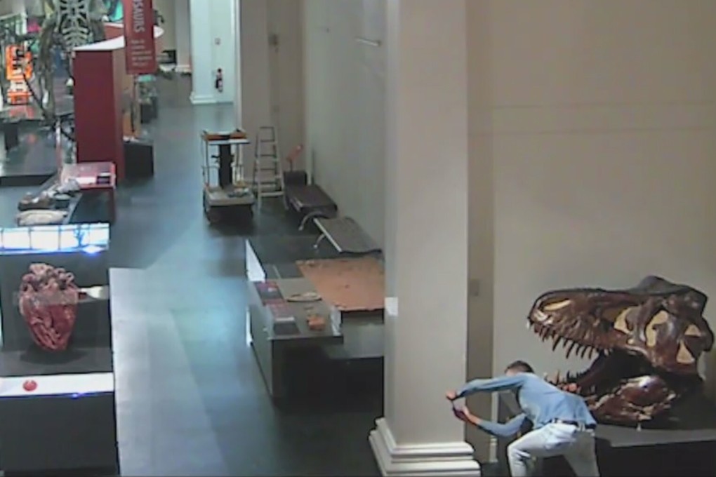 Security cameras caught a man breaking into The Australian Museum in Sydney, taking photos with displays and searching cupboards, in scenes reminiscent of the Night at the Museum movies. Photo: NSW Police/Facebook