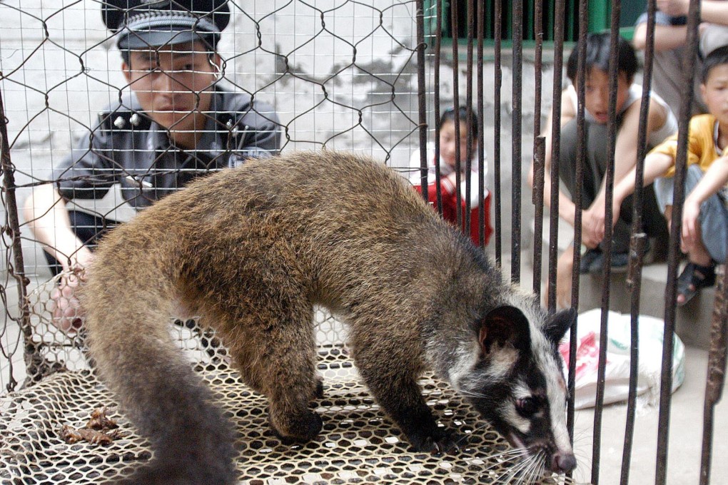 Farmers will be paid US$84 for each civet they hand over. Photo: AFP