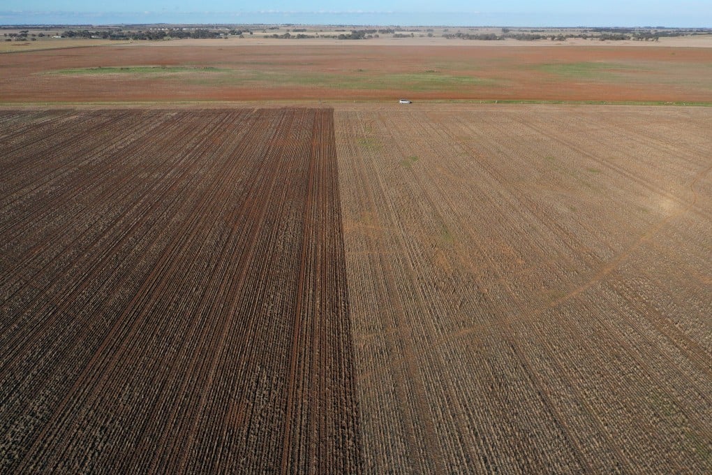China has slapped anti-dumping duties on Australian barley as diplomatic tensions escalate between the two trading partners. Photo: Bloomberg