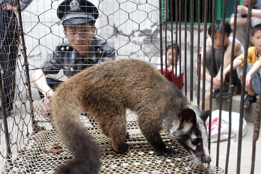 China is trying to stamp out the trade in wild animals like civets. Photo: AFP