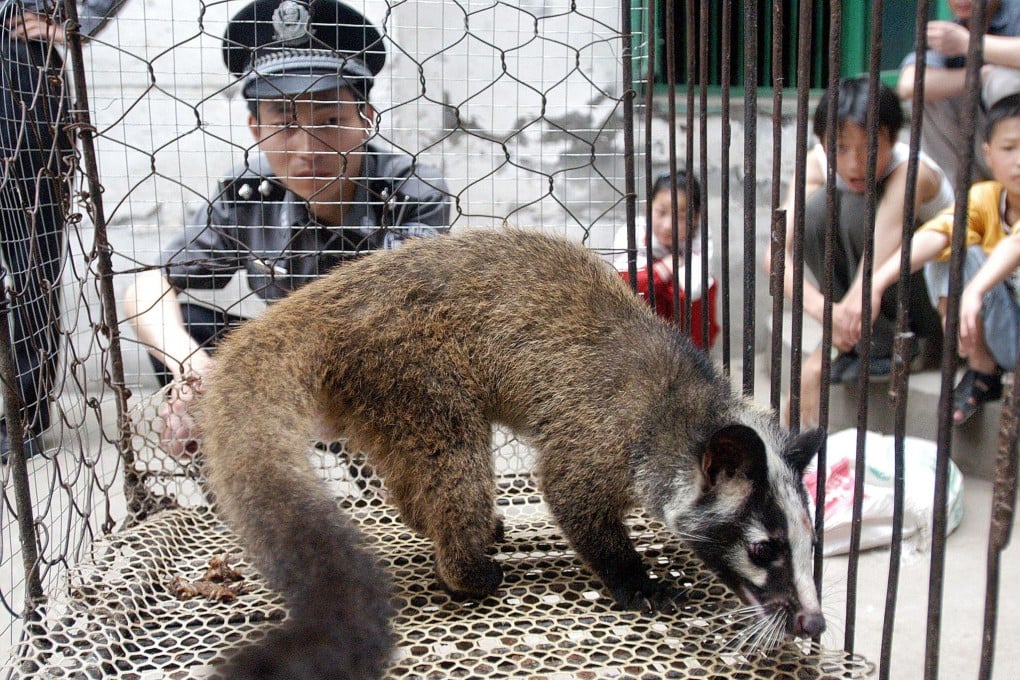 China is trying to stamp out the trade in wild animals like civets. Photo: AFP